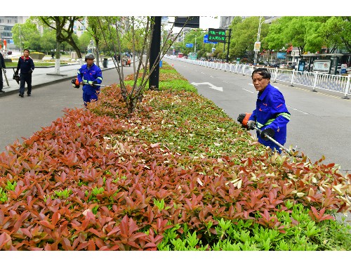 博鱼官方网站：数字看城市绿化面积